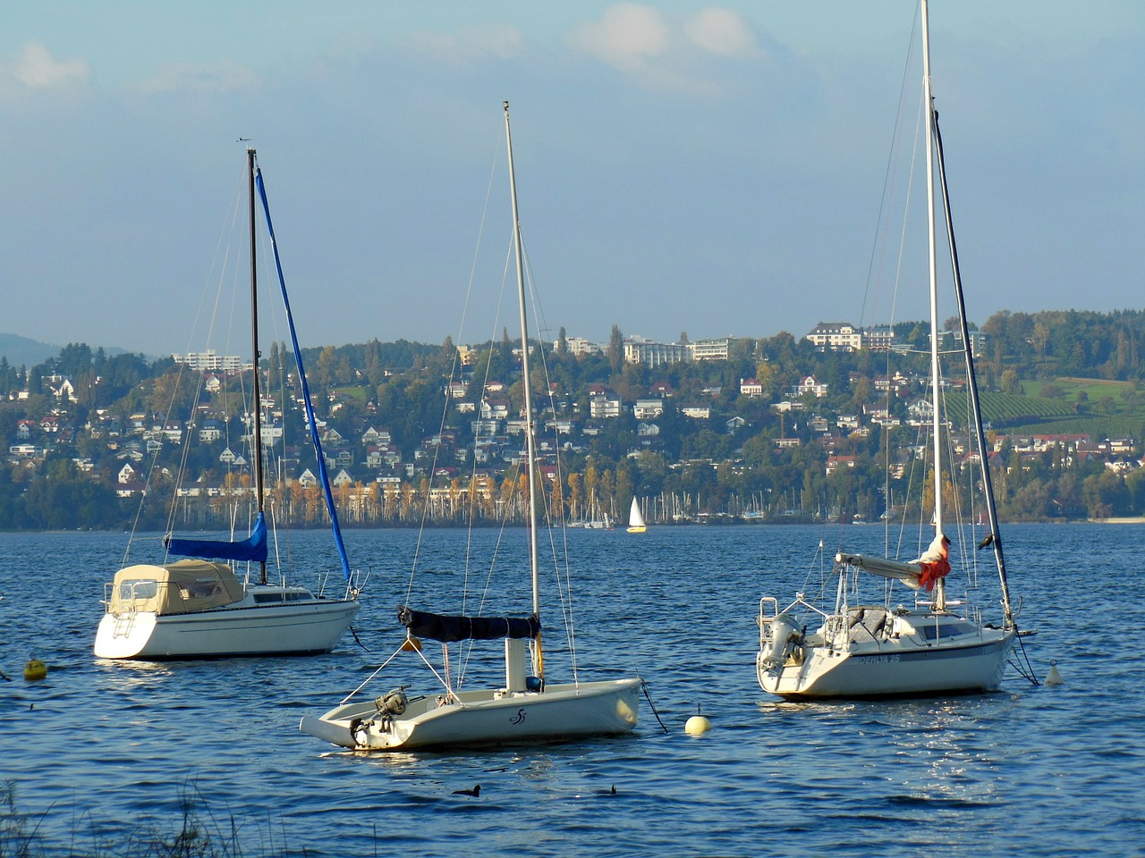 boats lake constance water free photo