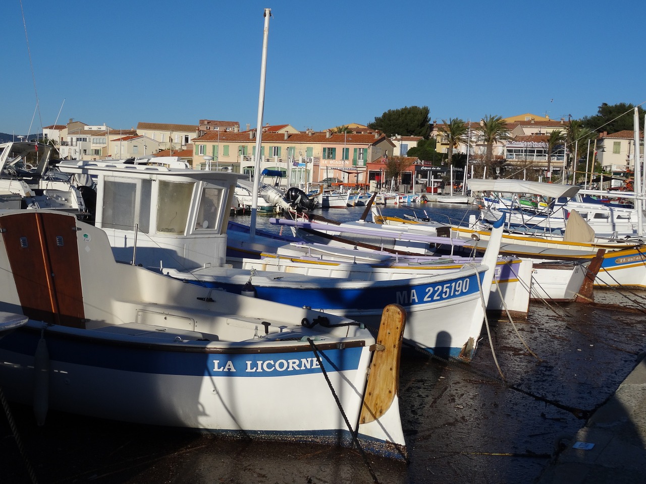 boats sea port free photo