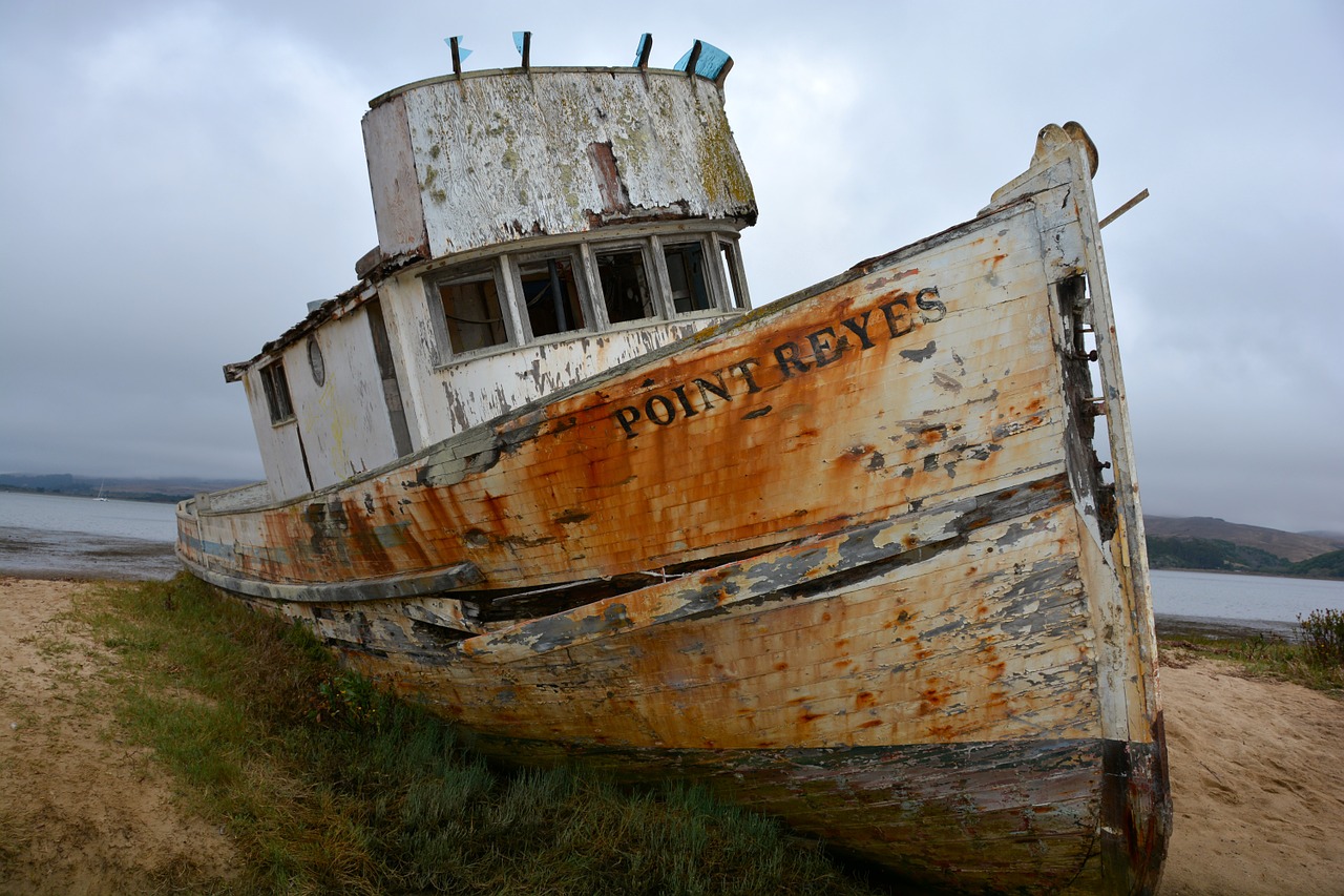 boats pacific ocean bay area free photo