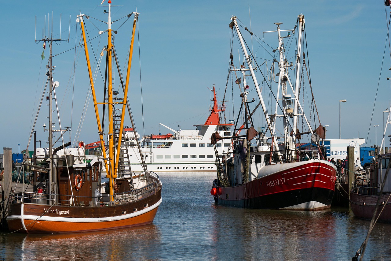 boats port ships free photo