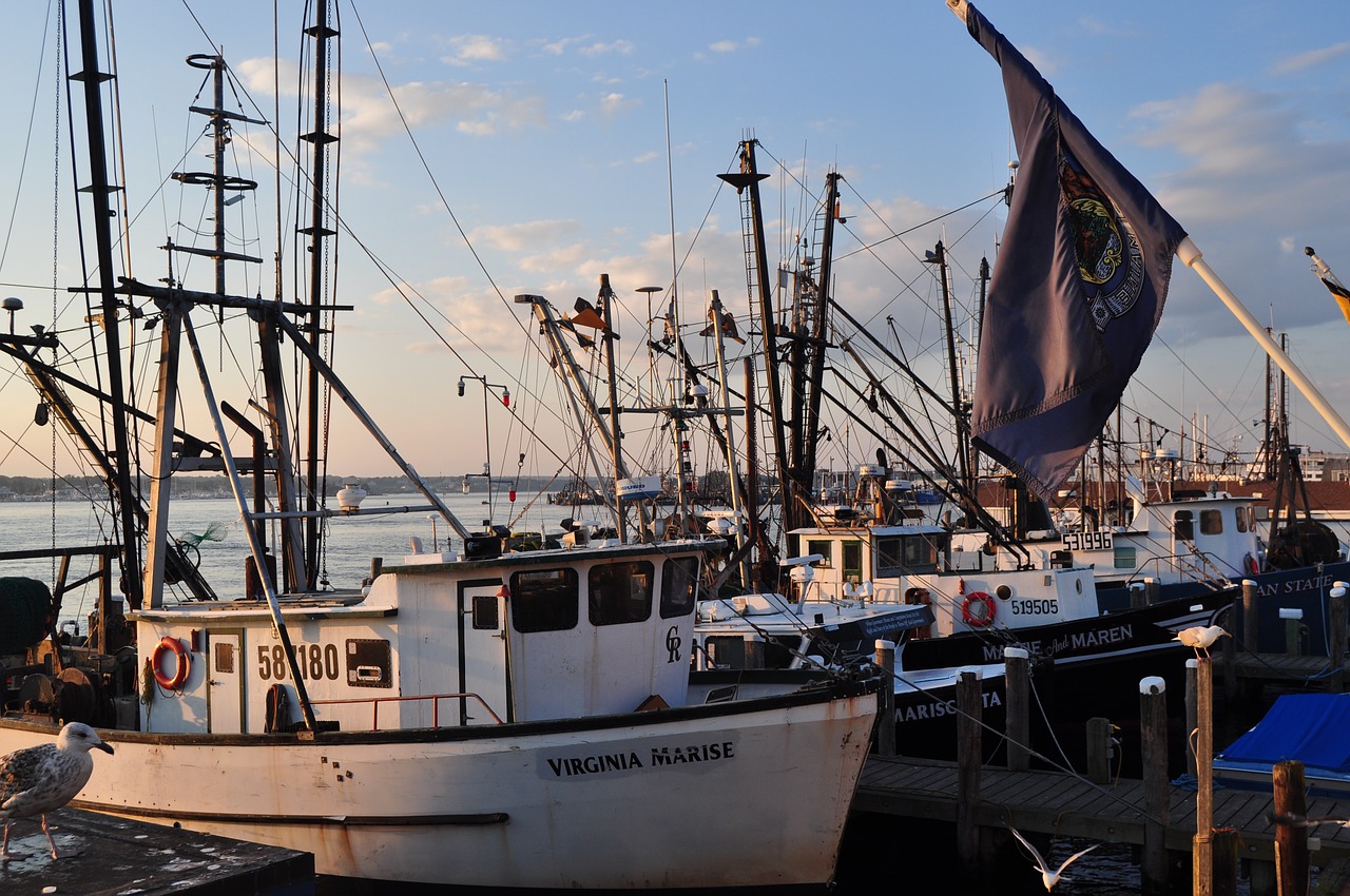 boats lobster port free photo