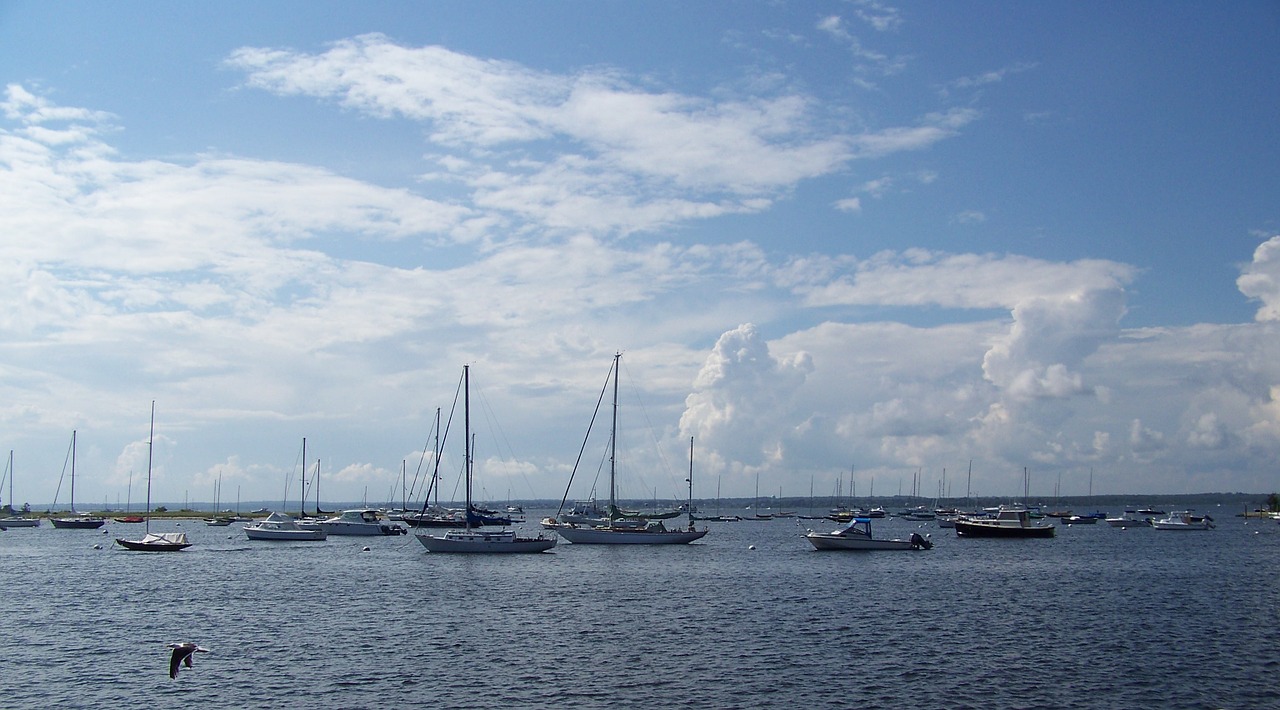 boats nautical harbor free photo