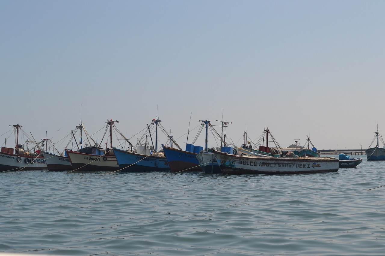 boats sea ocean free photo