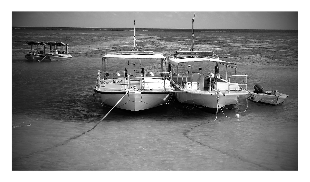 boats black and white vessel free photo