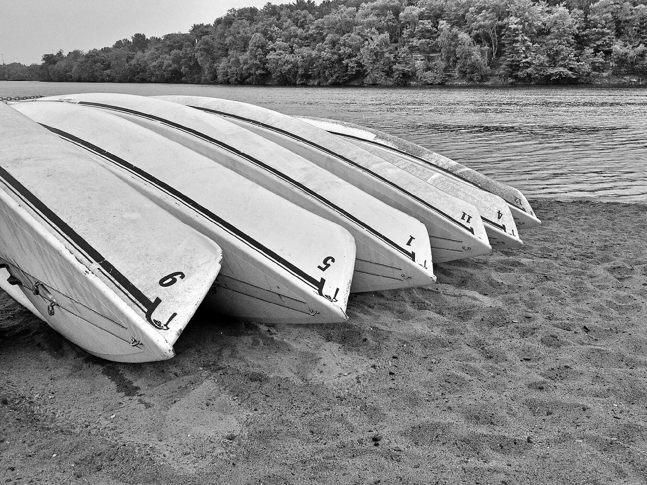 boats lake water free photo