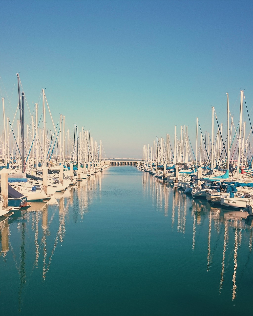 boats marina dock free photo