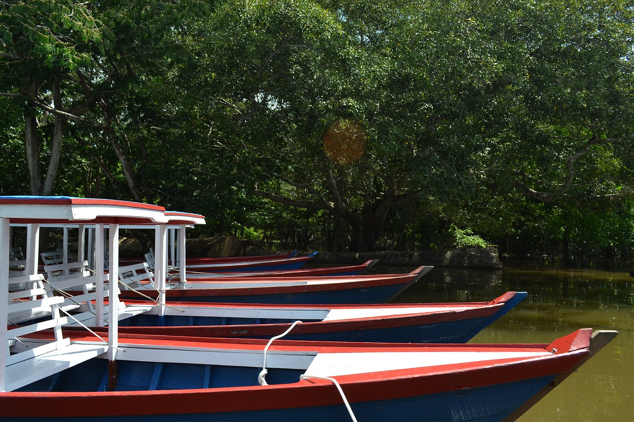boats amazon rio free photo