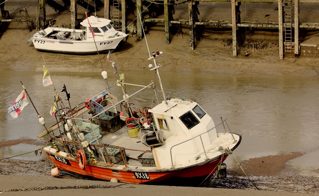 boats fishing water free photo