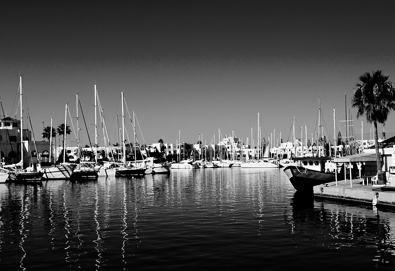 boats sea harbour free photo