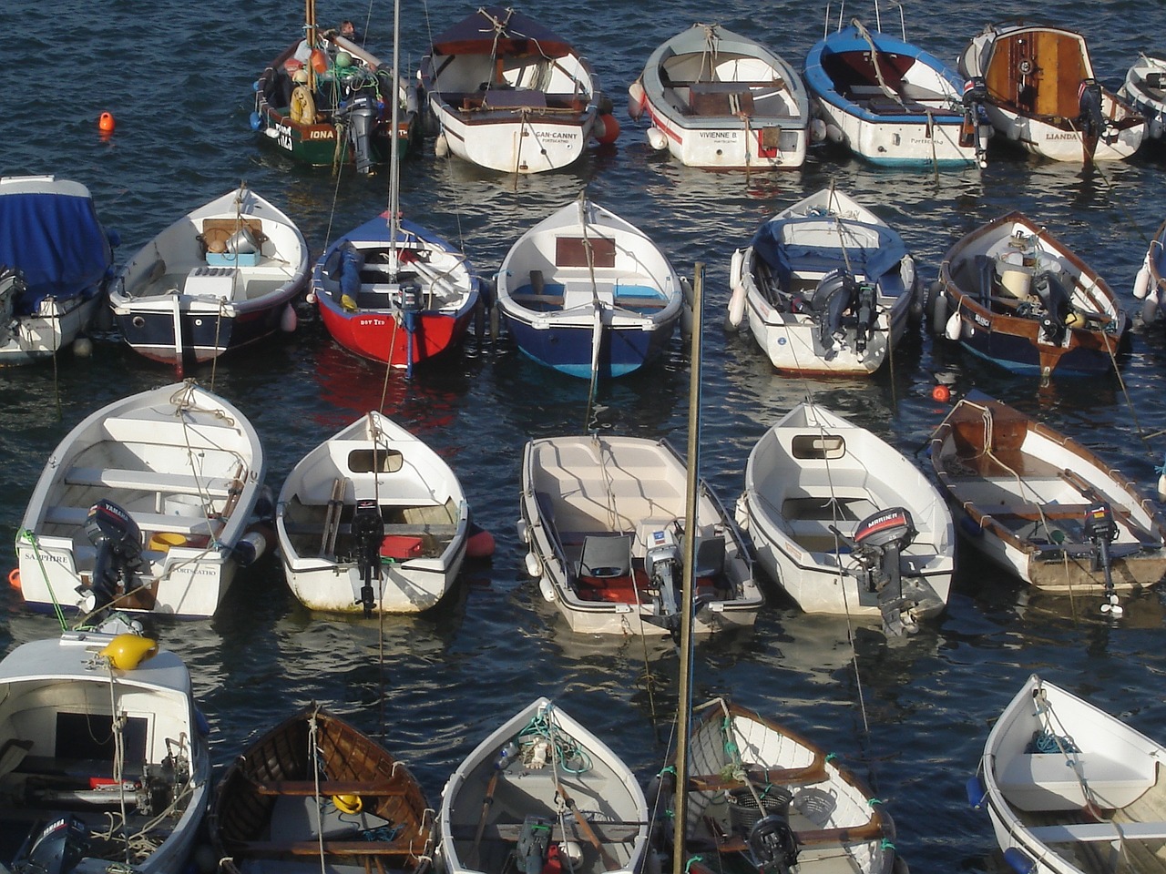 boats harbour fishing free photo