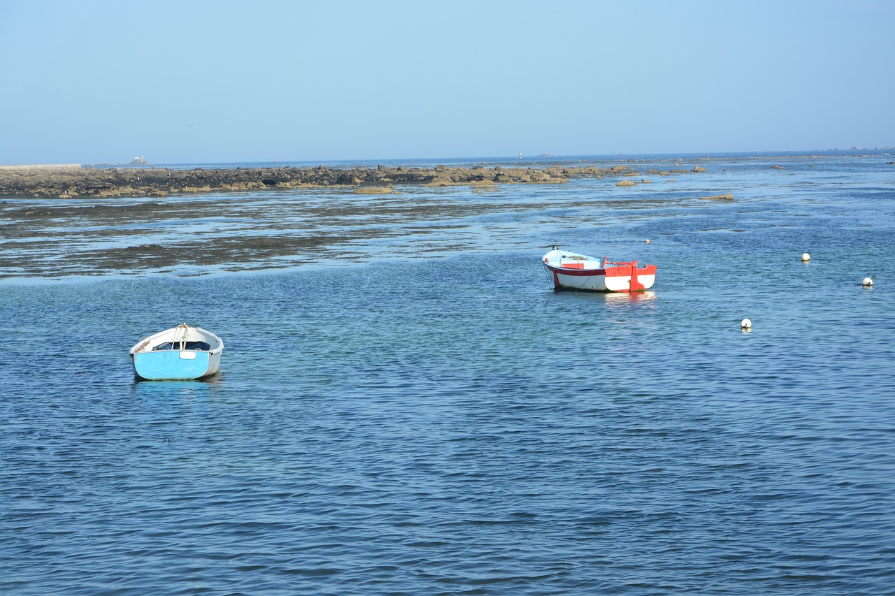 boats floating  panoramic views  sea free photo