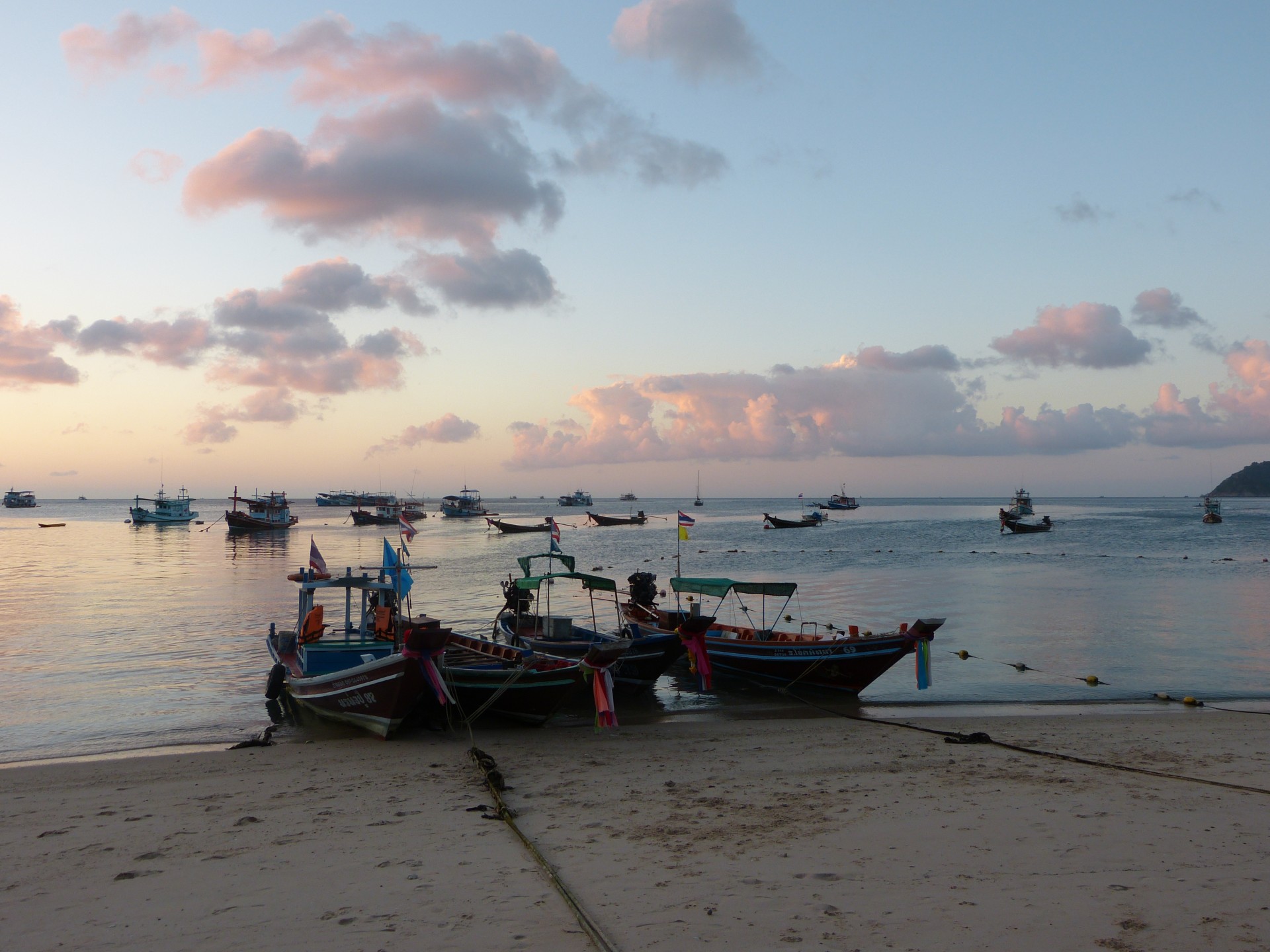 boats harbour koh tao free photo