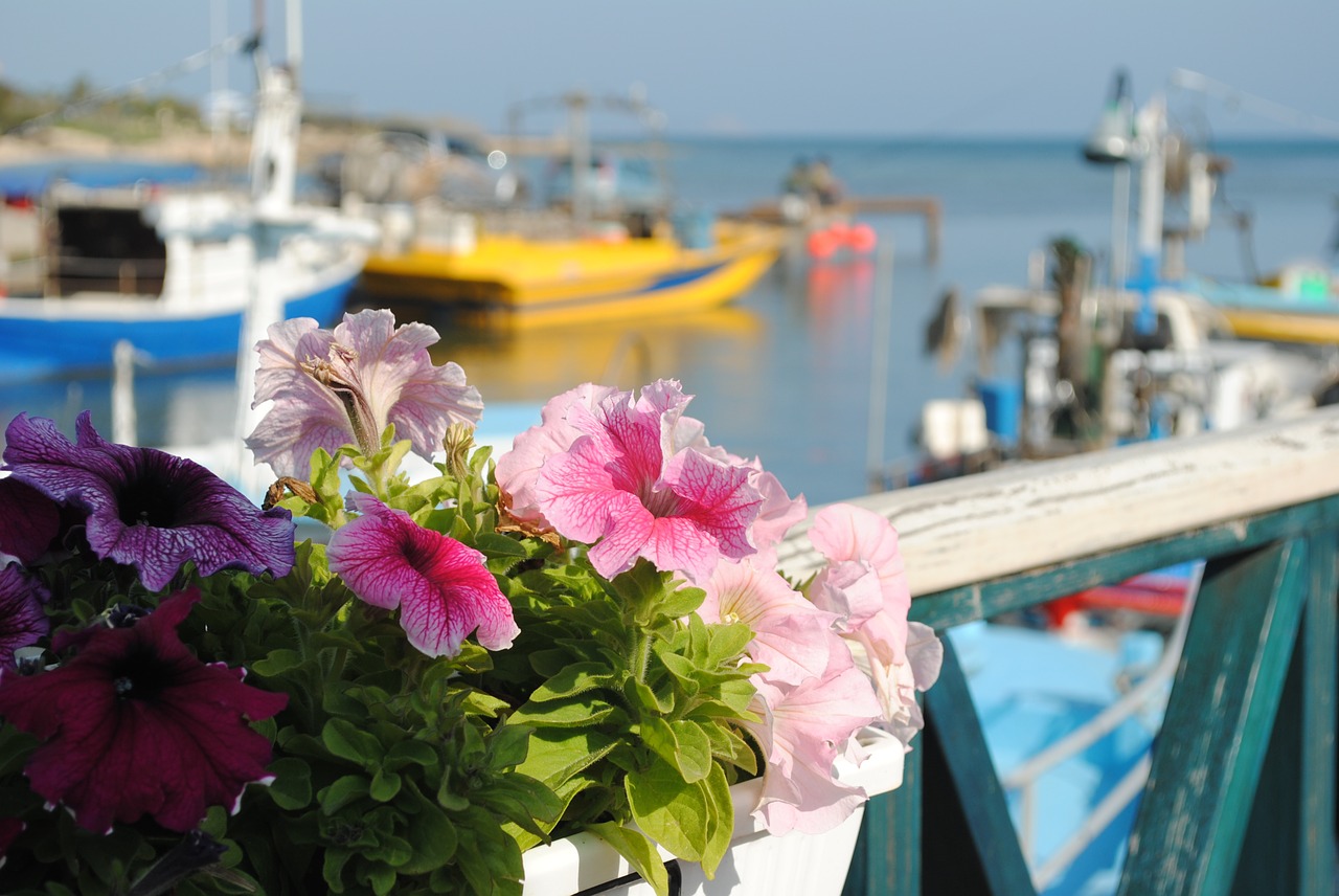 boats moored cyprus sea free photo