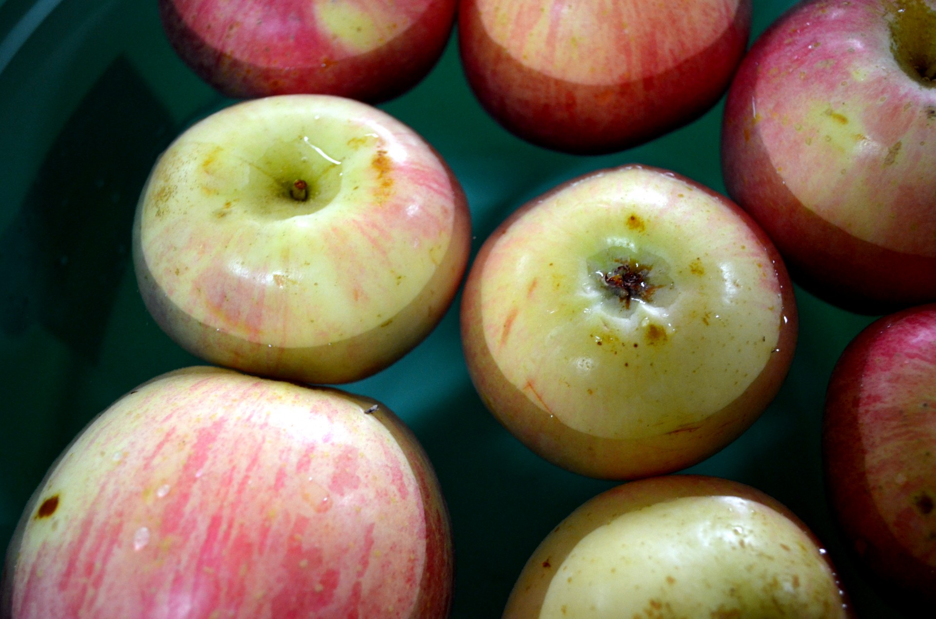 food fruit apples free photo