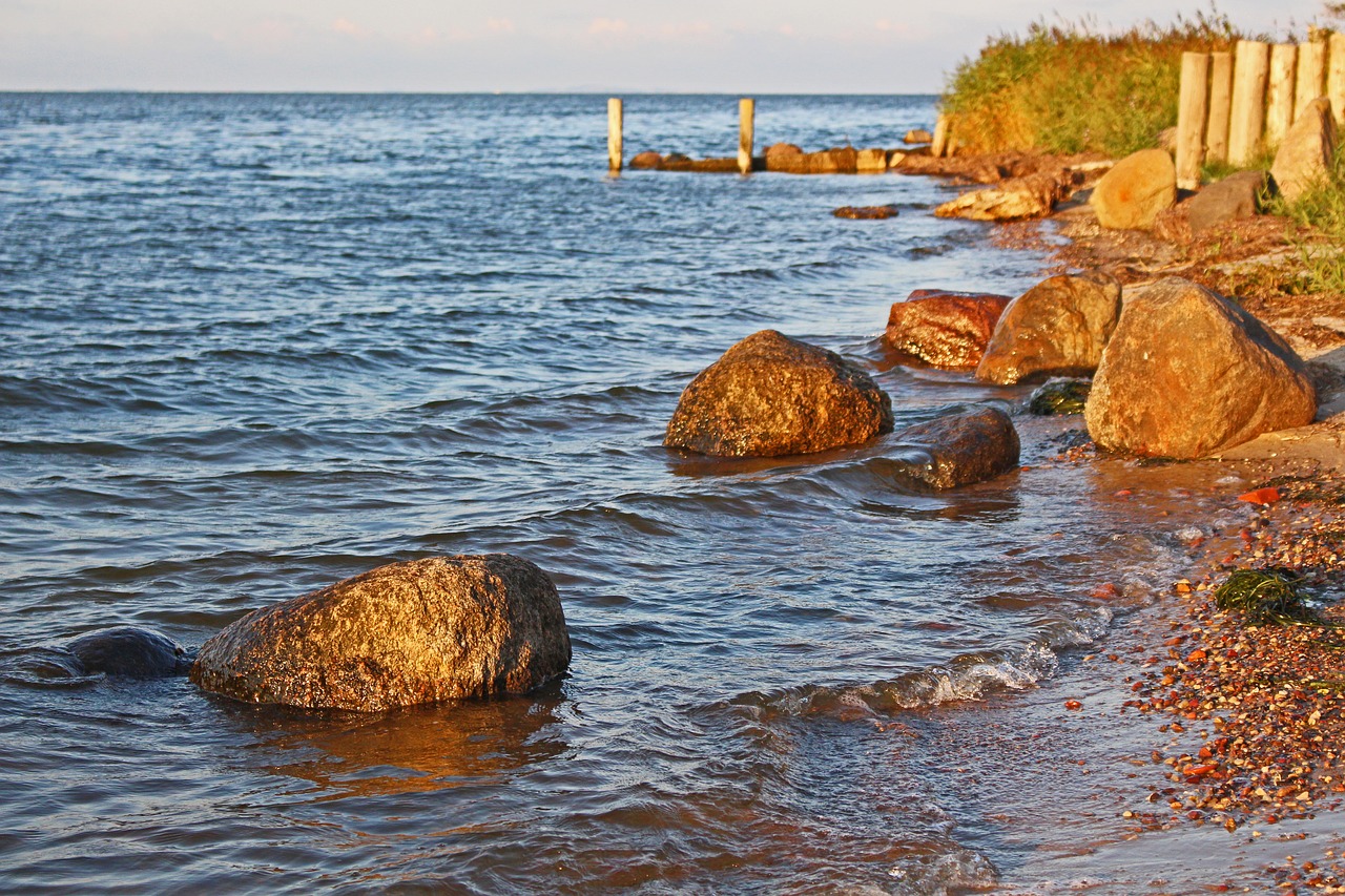 bodden  riems  nature free photo