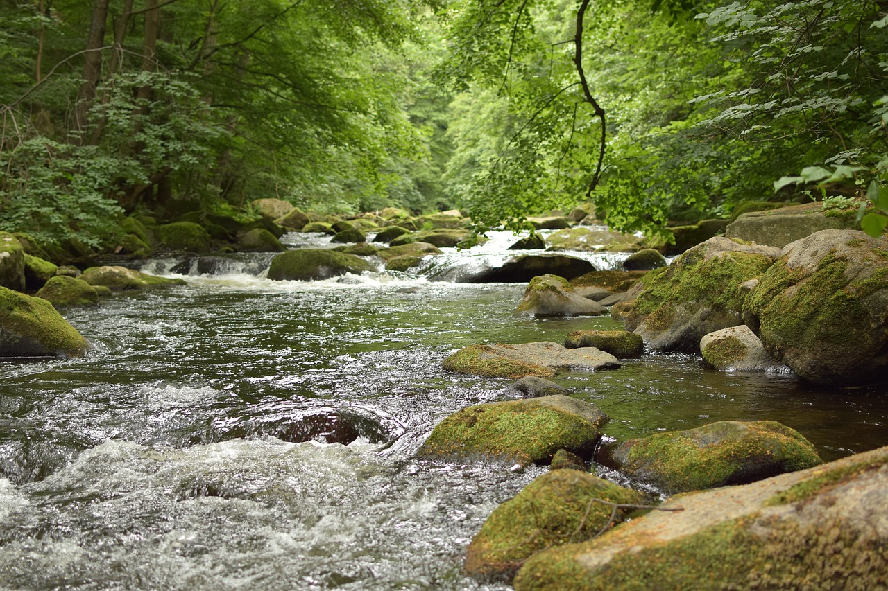 bode river water free photo