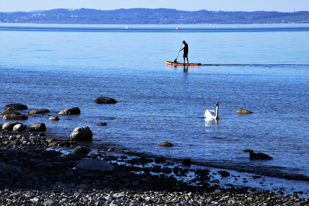 bodensee sup a person free photo