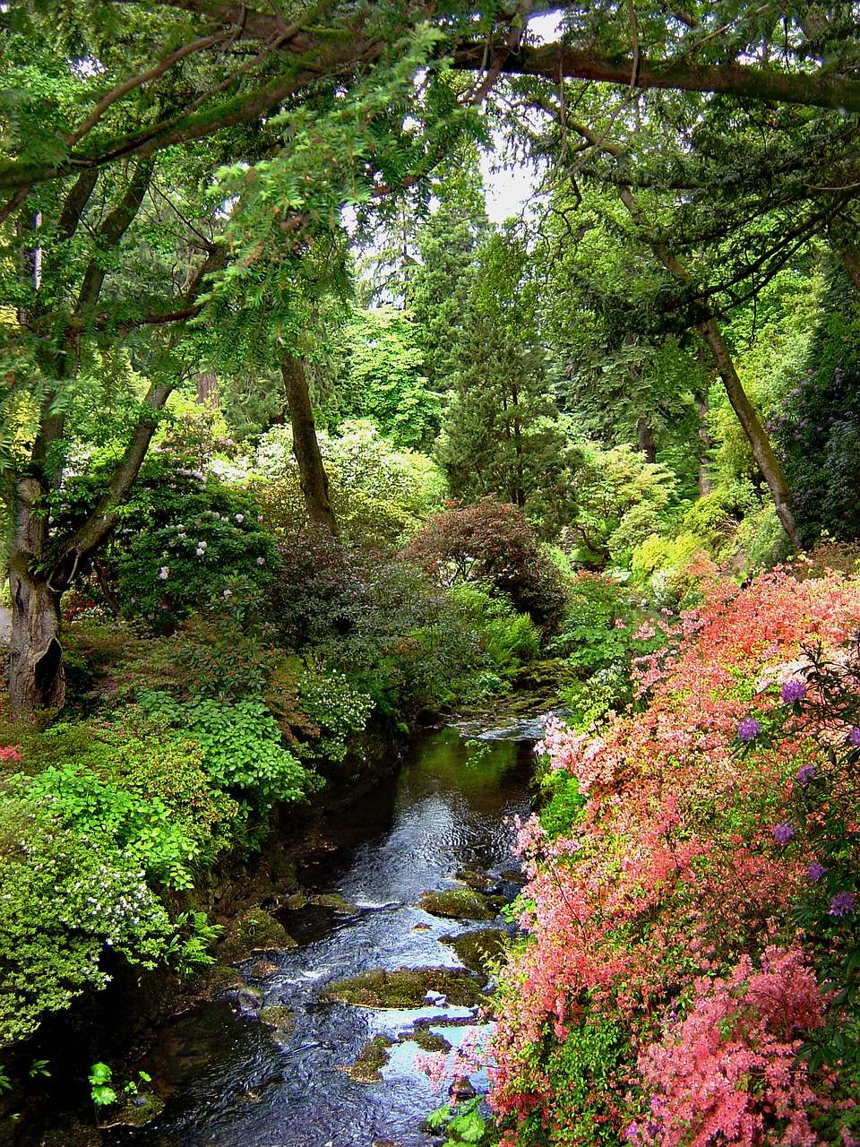 bodnant gardens wales free photo