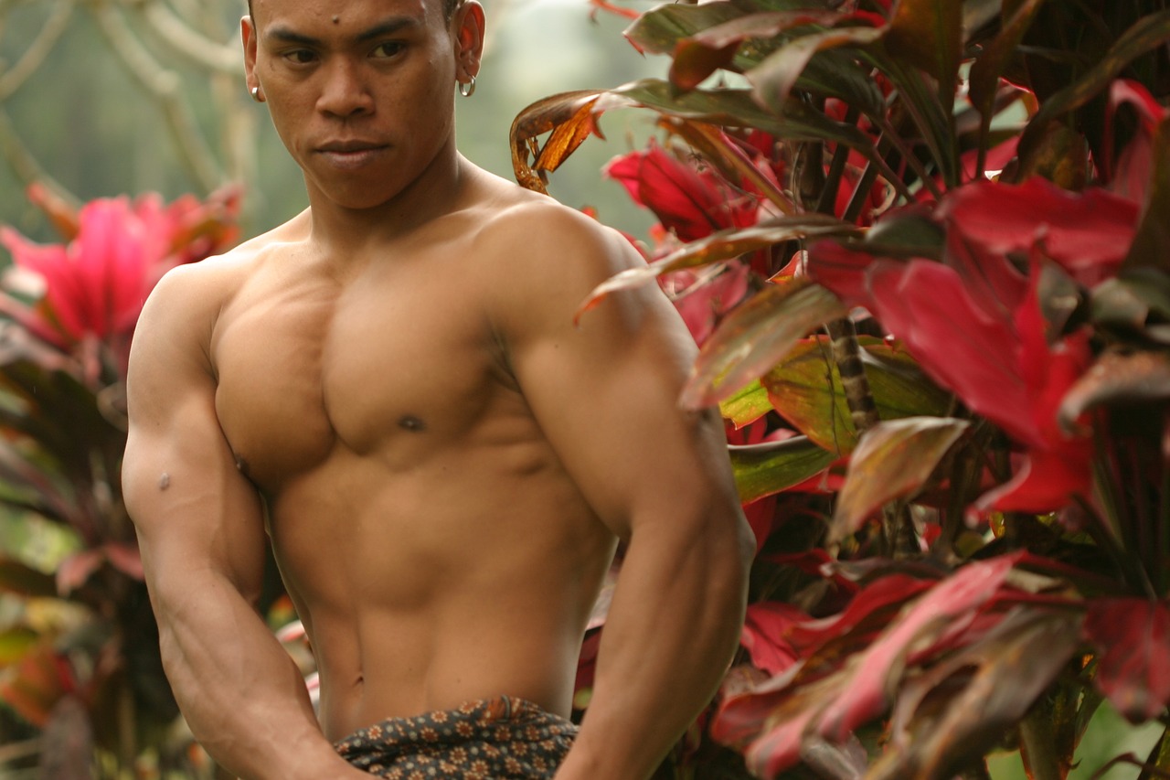body builder  bali free pictures free photo