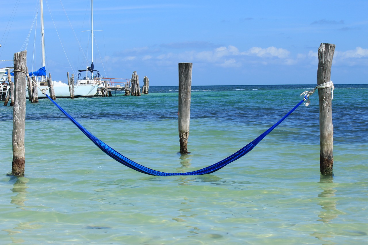 body of water sea summer free photo