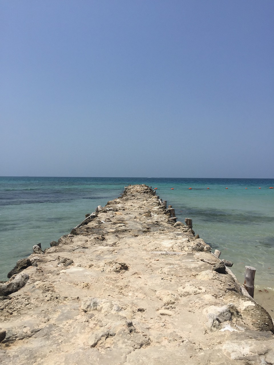 body of water sea beach free photo