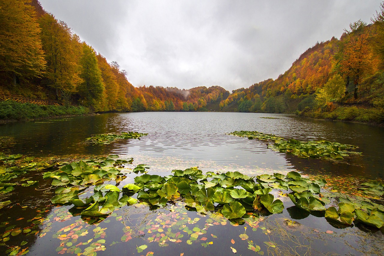 body of water river nature free photo