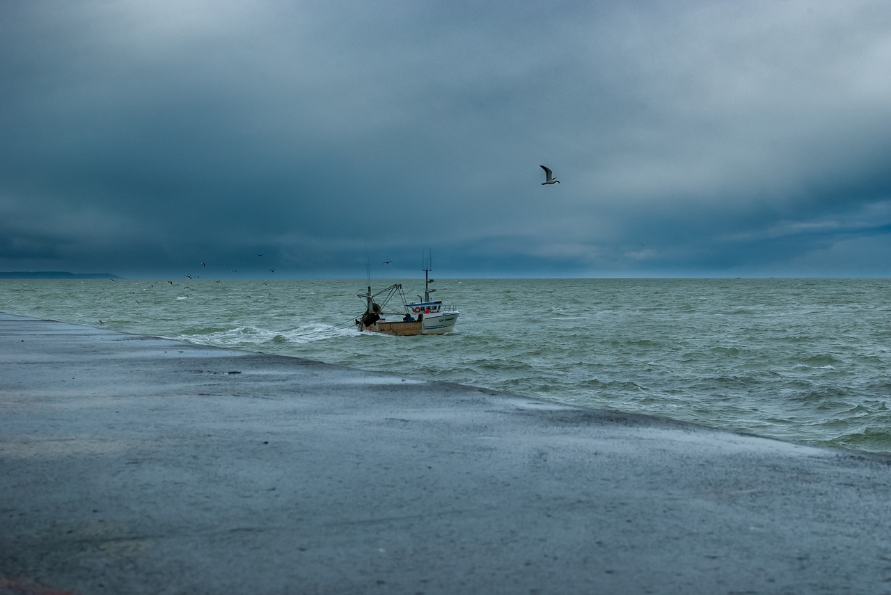 body of water sea beach free photo