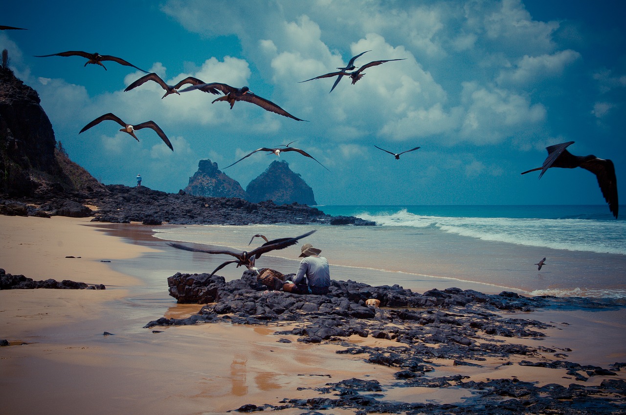 body of water mar ocean free photo