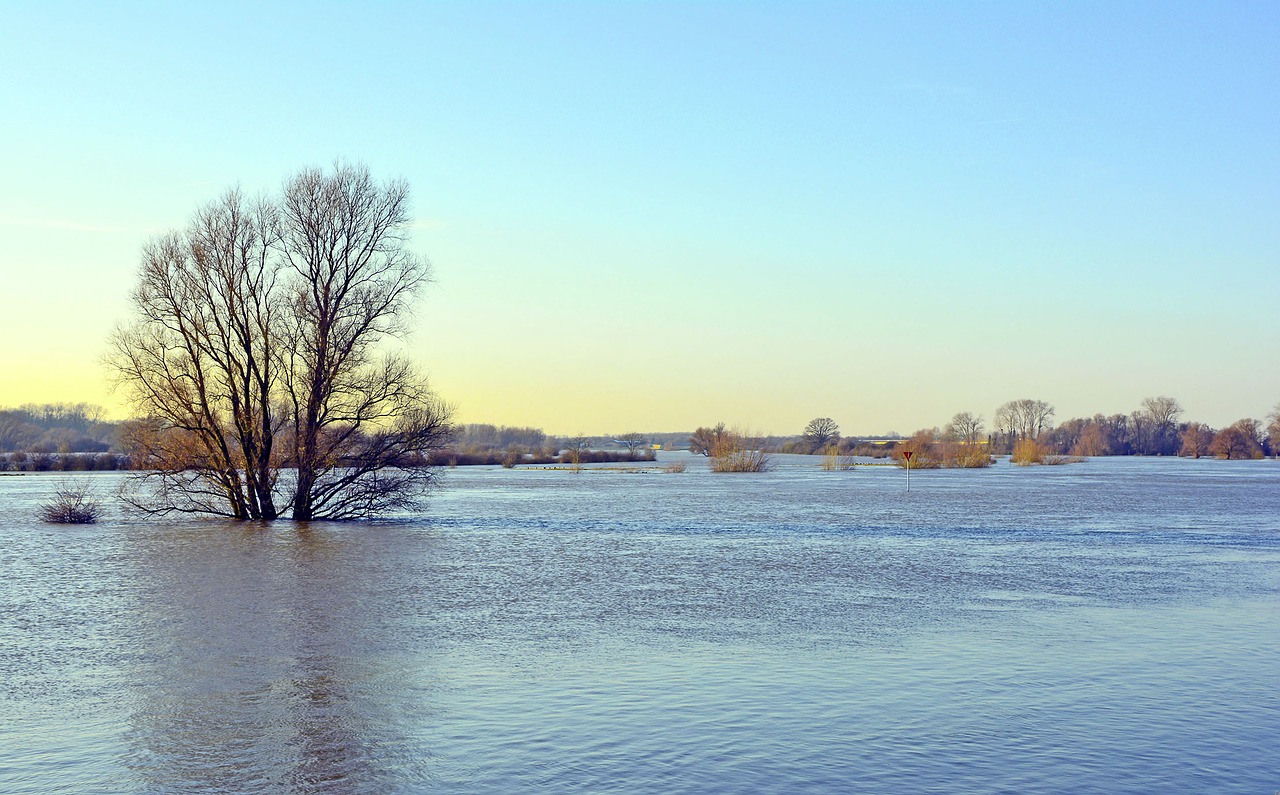 body of water nature outdoor free photo