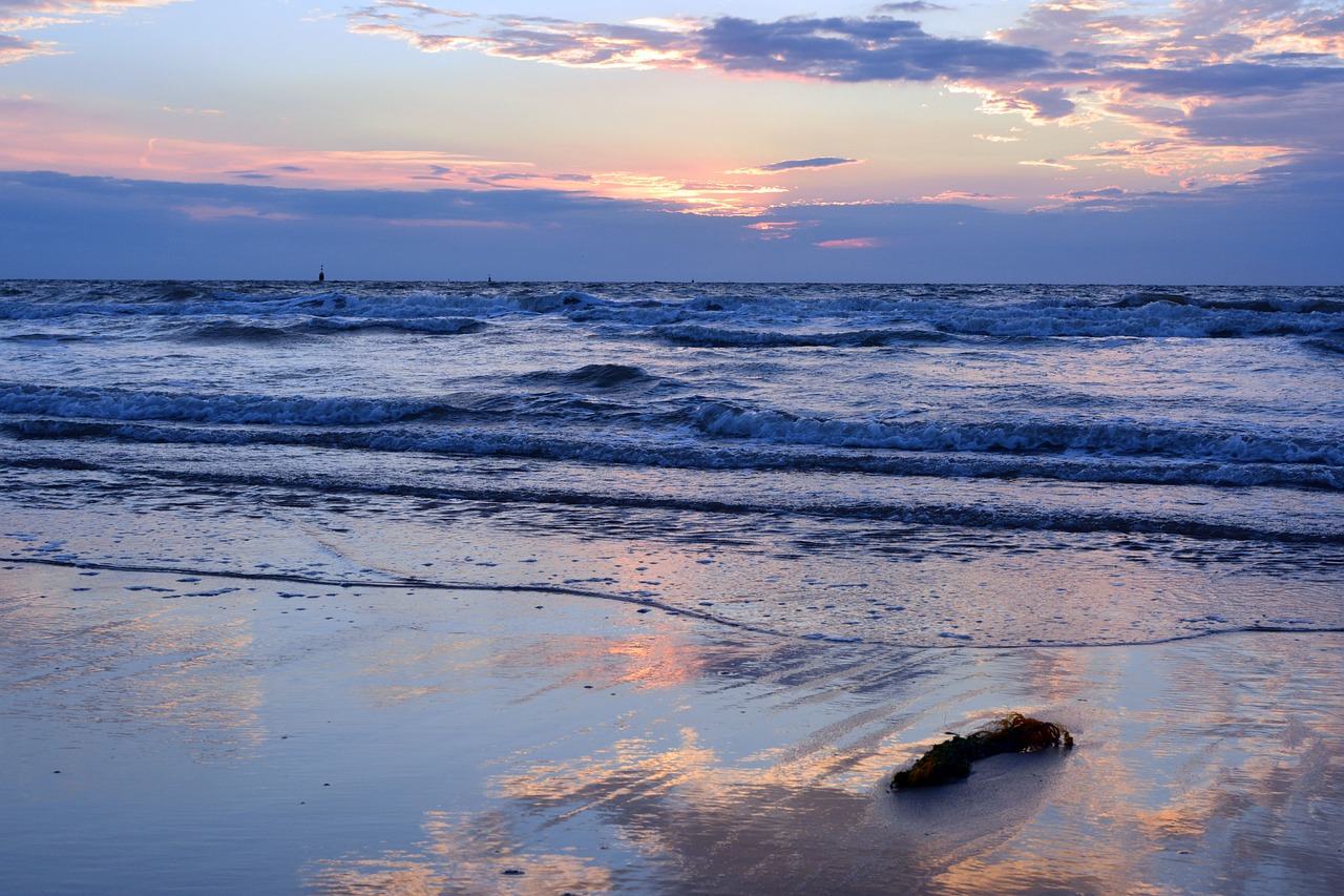 body of water sea sunset free photo