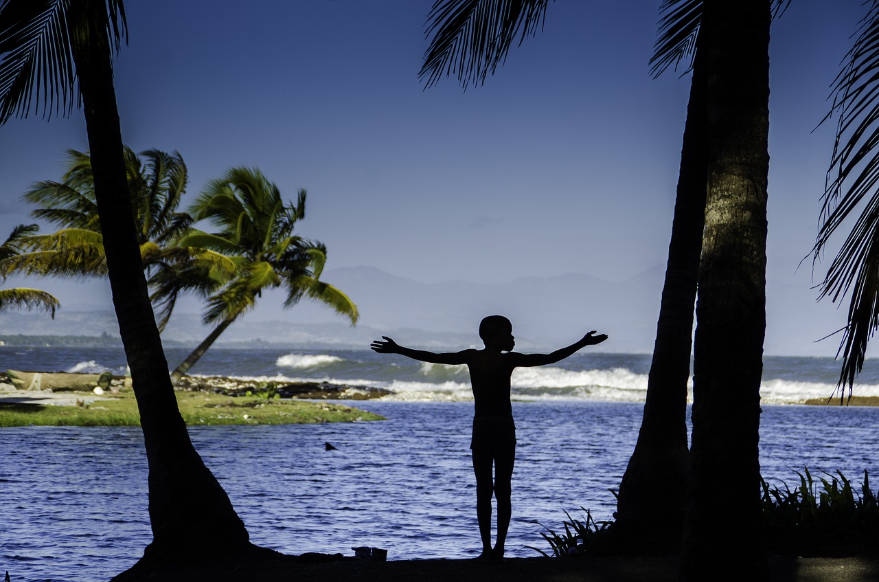 body of water beach ease free photo