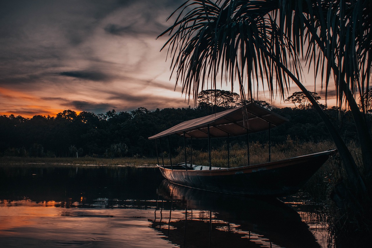 body of water beach travel free photo