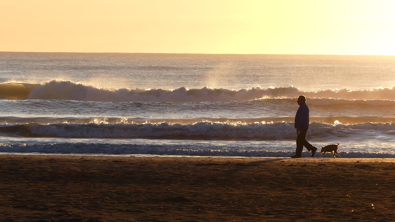 body of water beach sea free photo