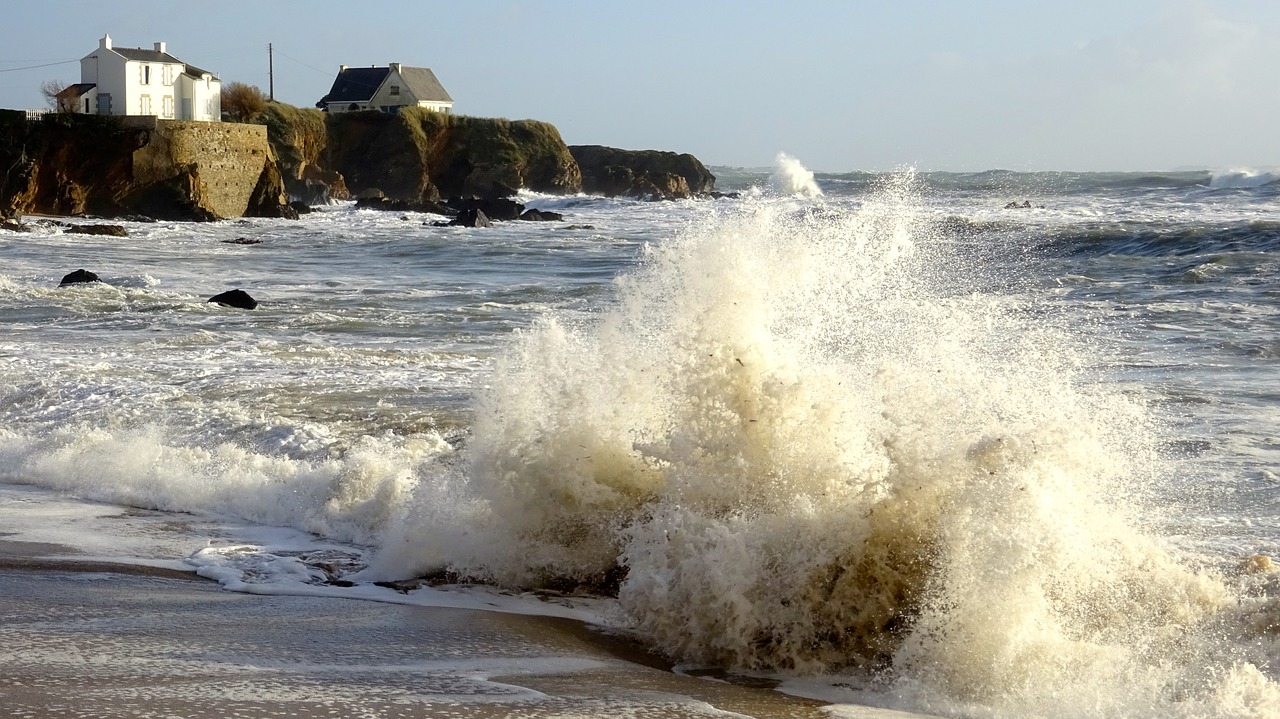 body of water wave sea free photo