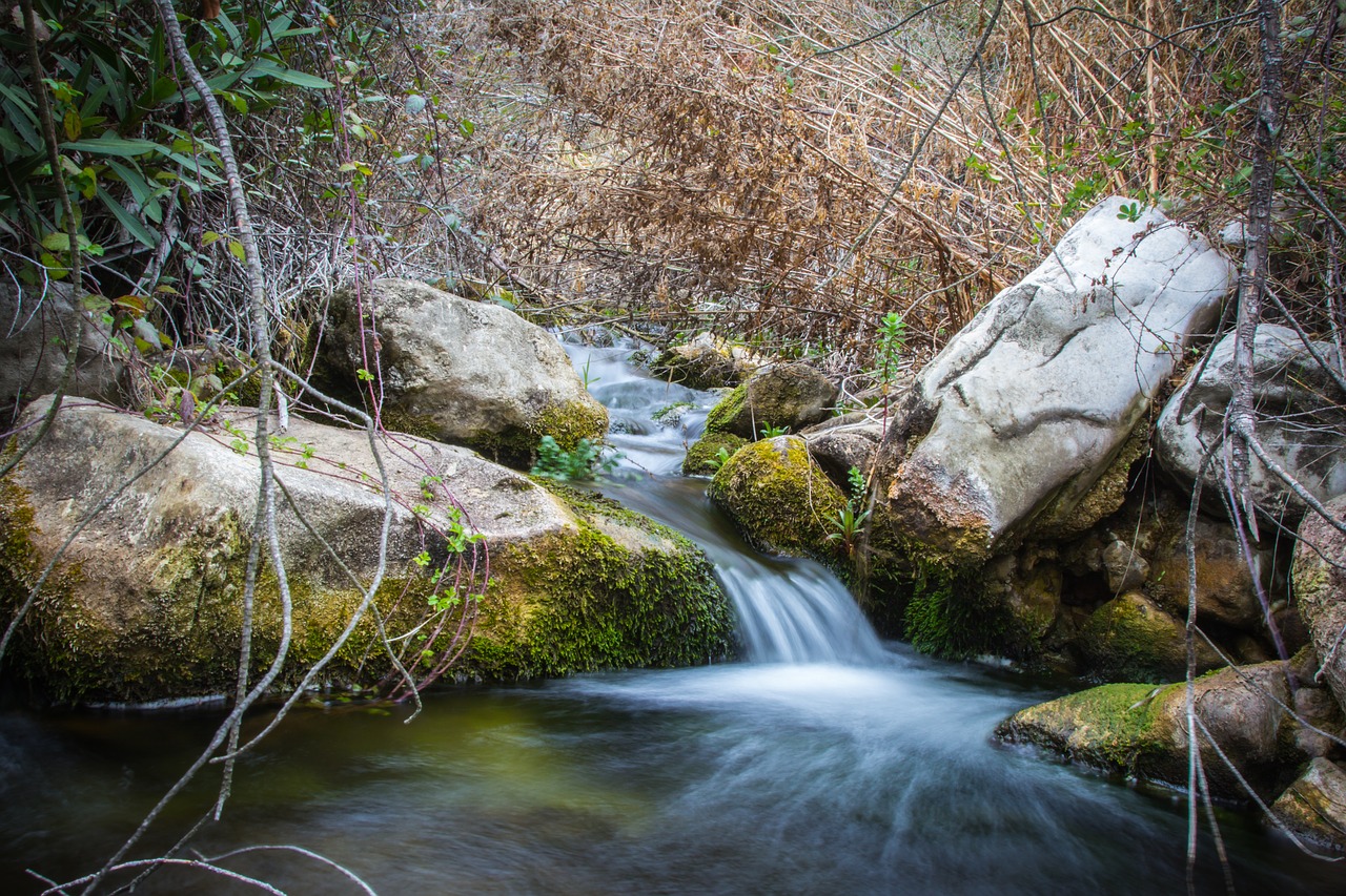 body of water nature river free photo