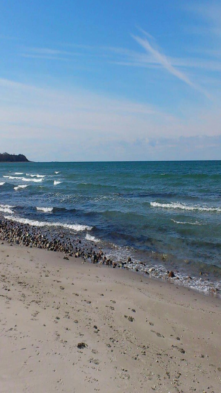 body of water sand sea free photo