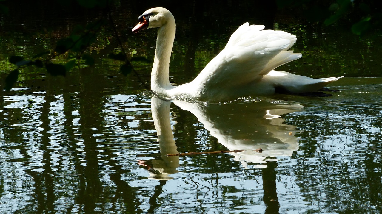 body of water  nature  mare free photo