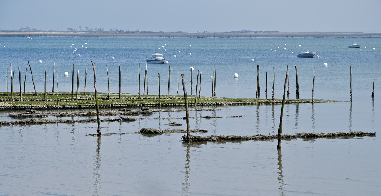 body of water  sea  reflection free photo