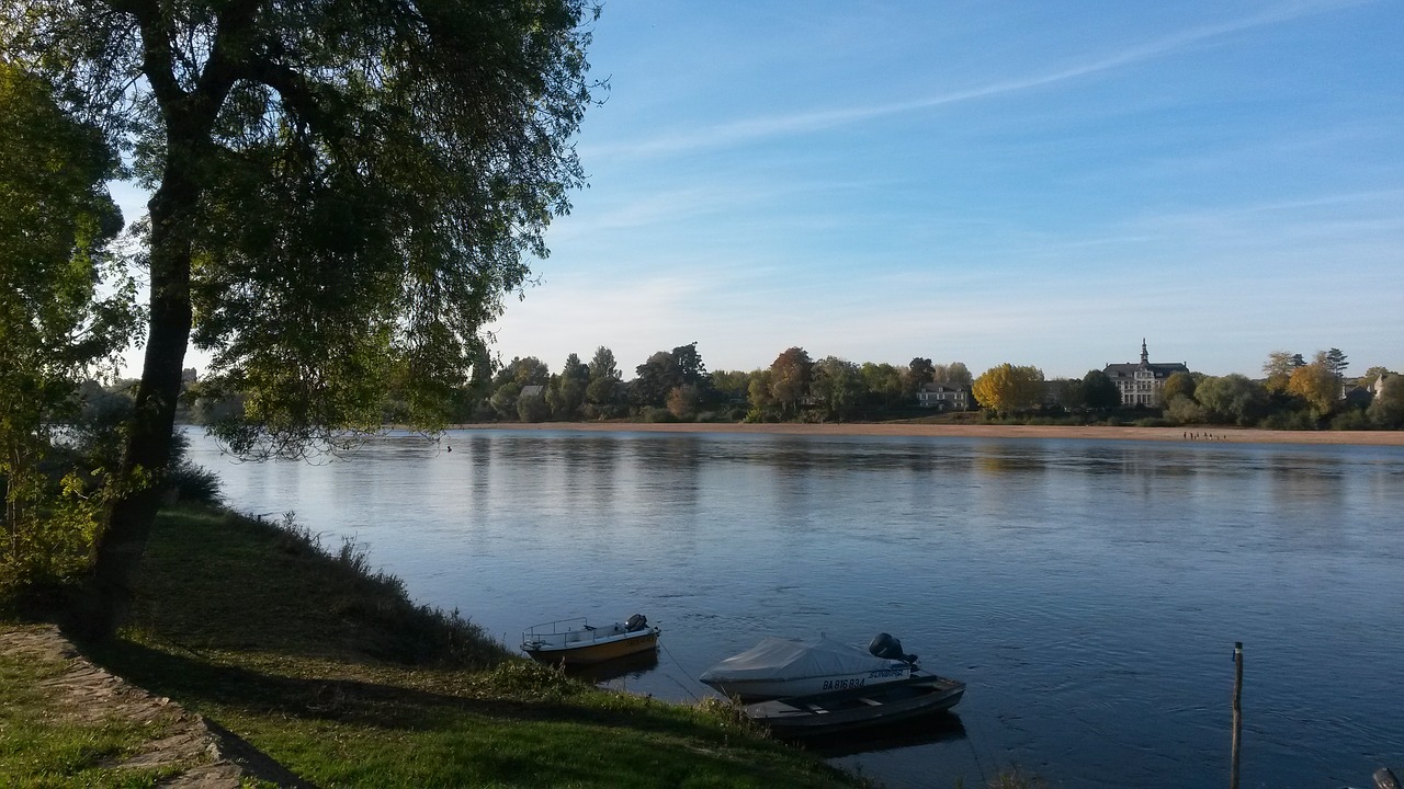 body of water  nature  tree free photo