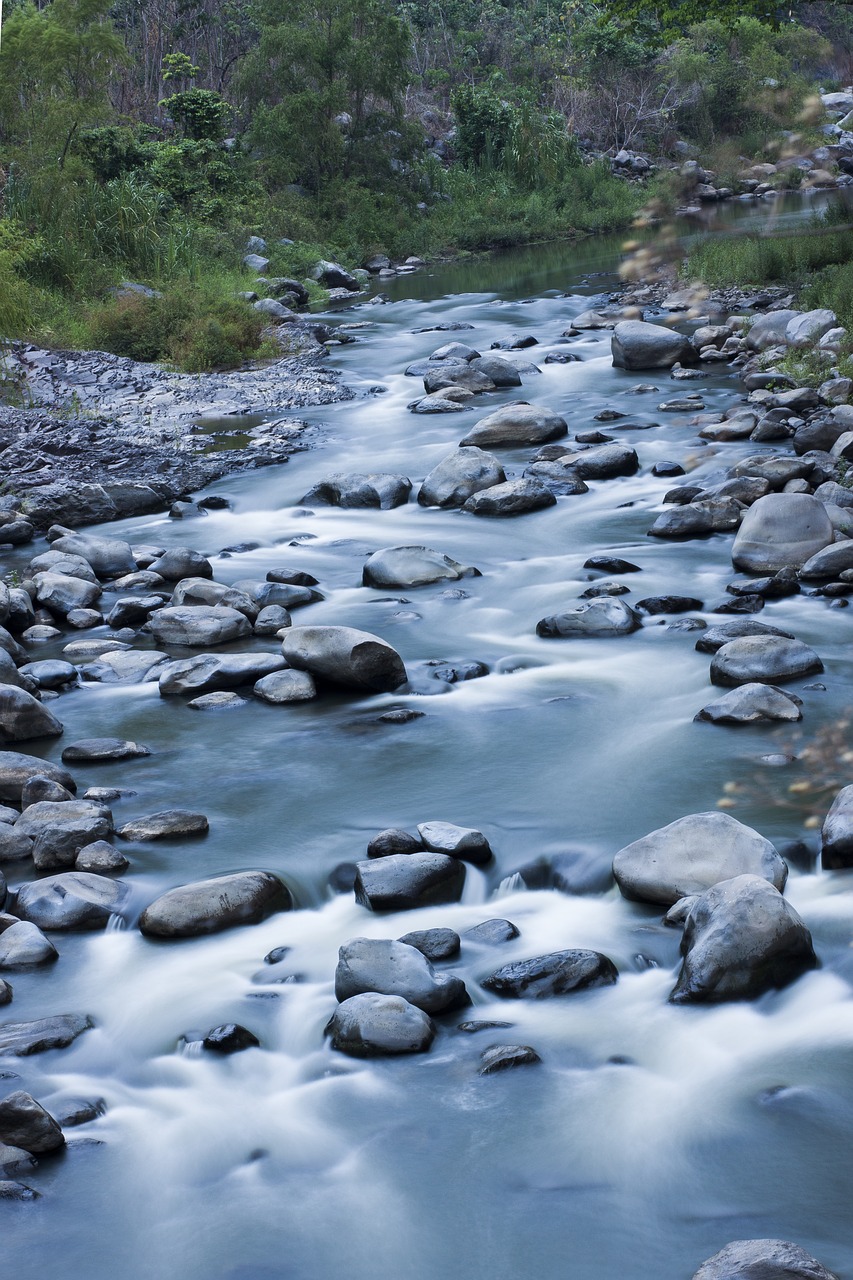 body of water  nature  river free photo