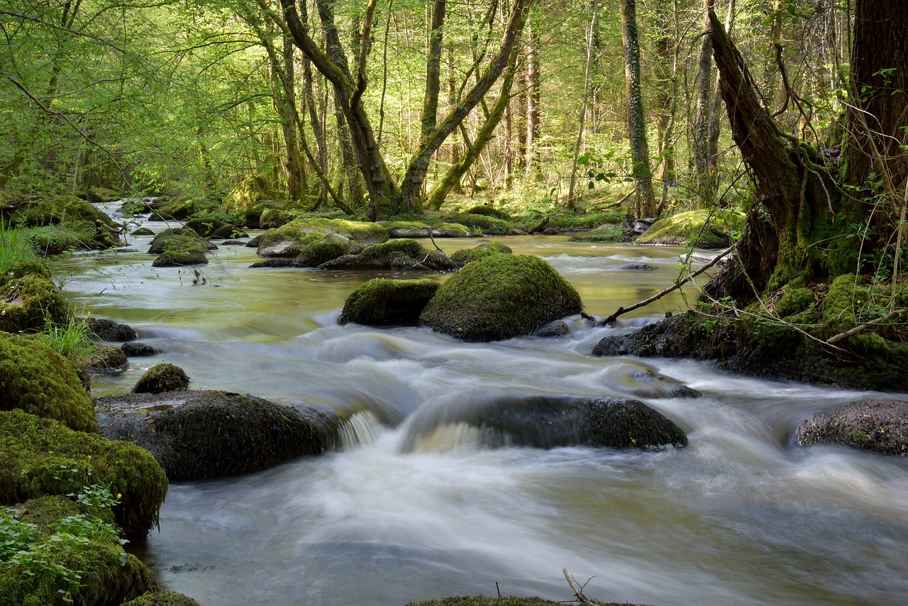 body of water  river  cascade free photo