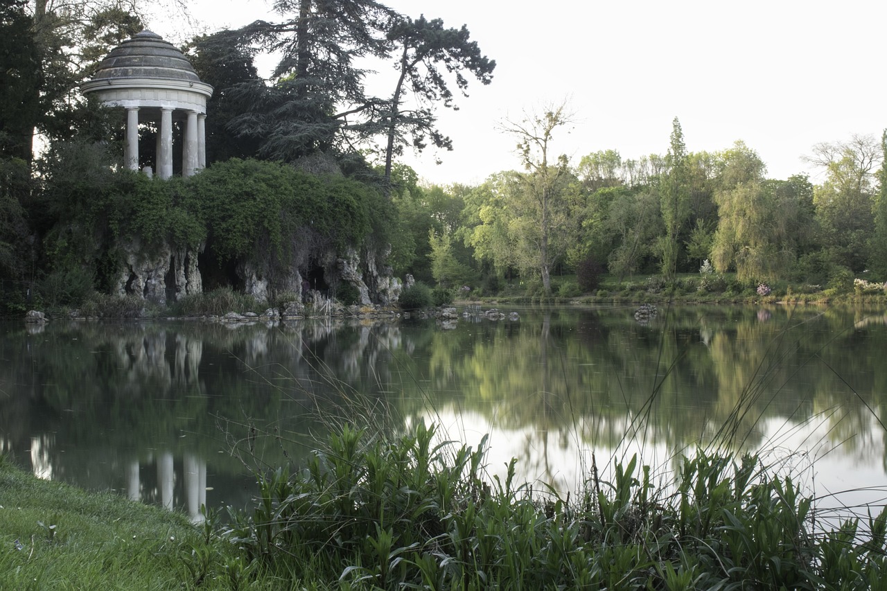 body of water  nature  tree free photo