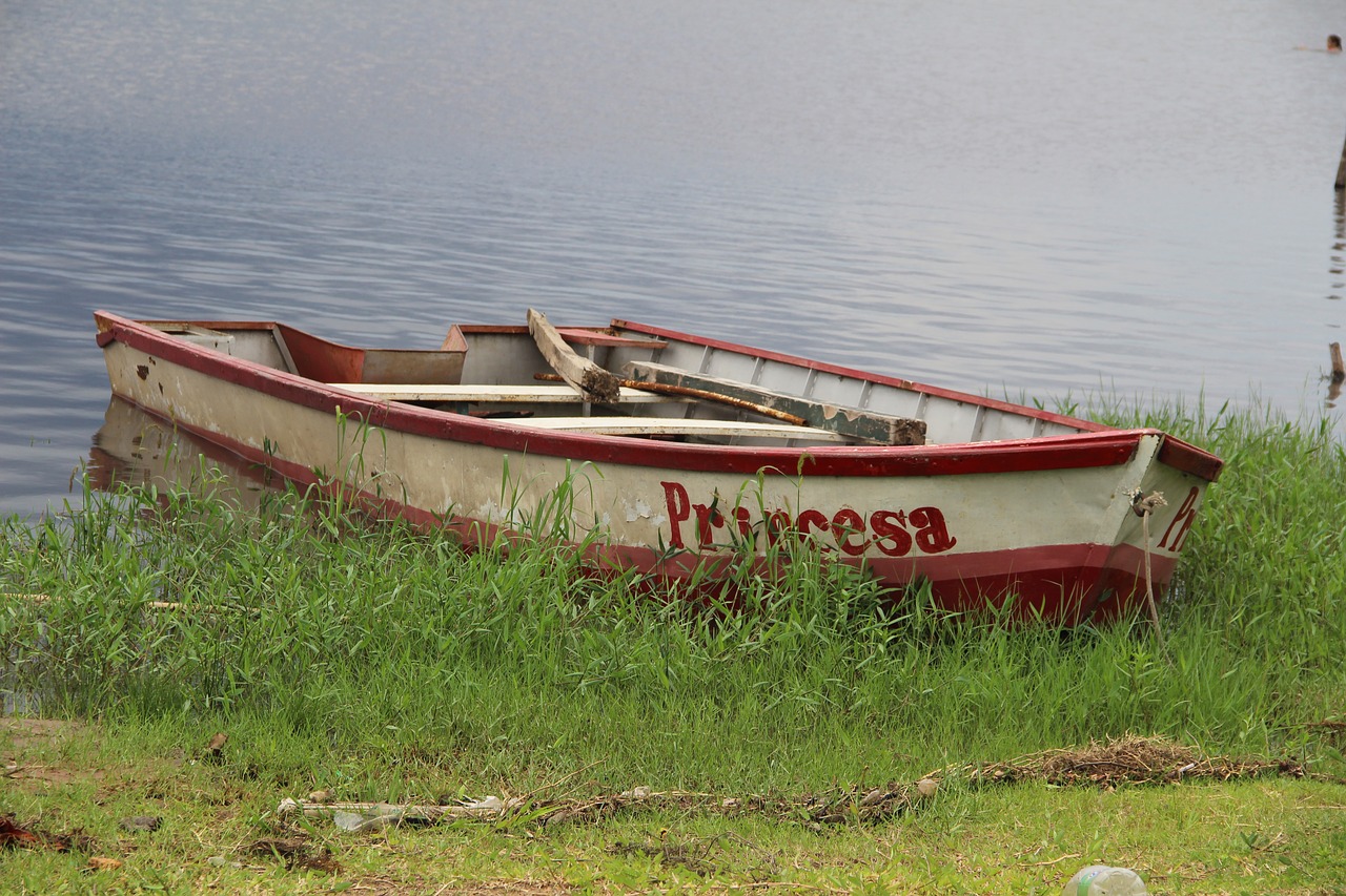 body of water  boat  summer free photo