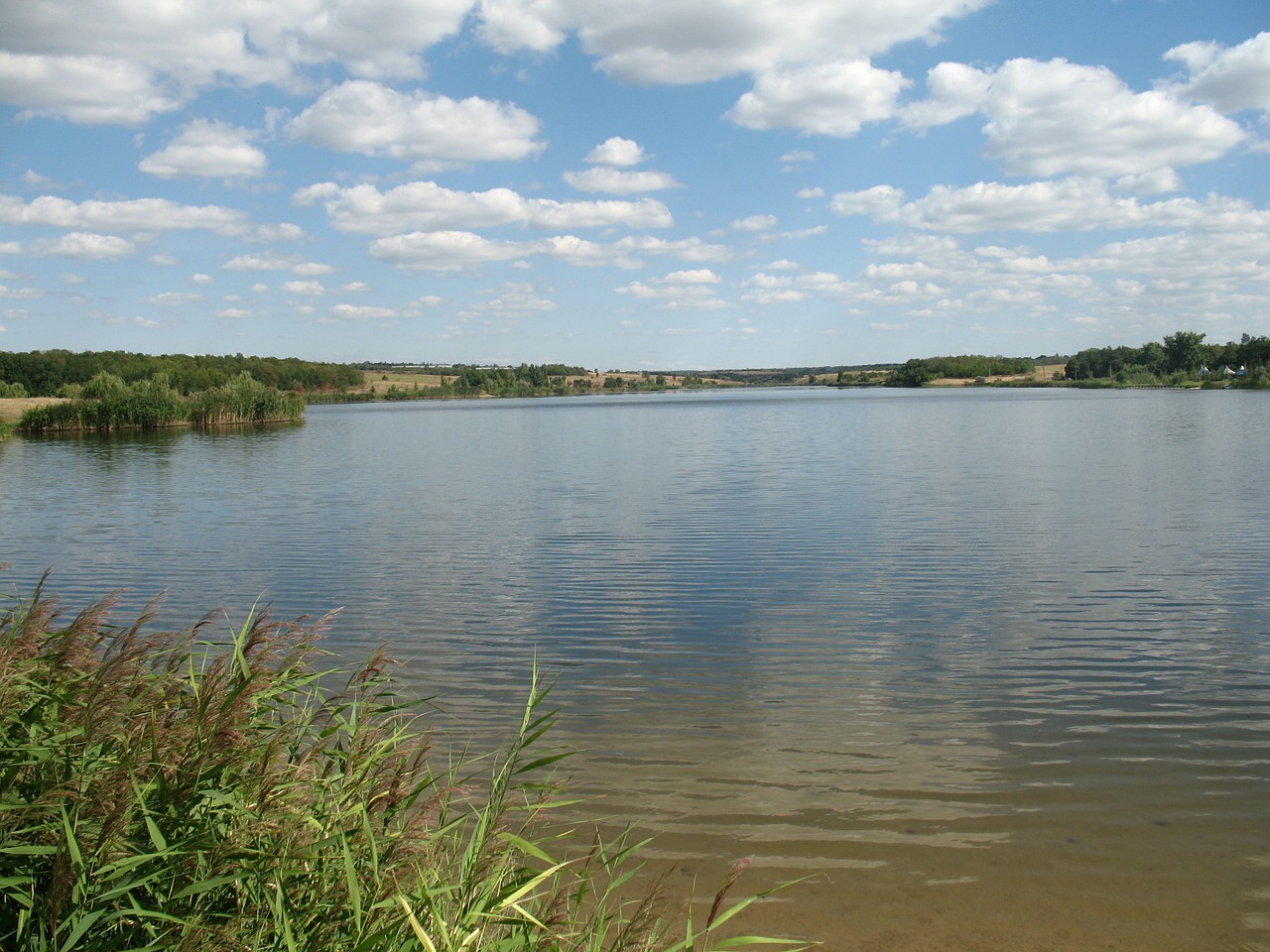 body of water summer lake free photo