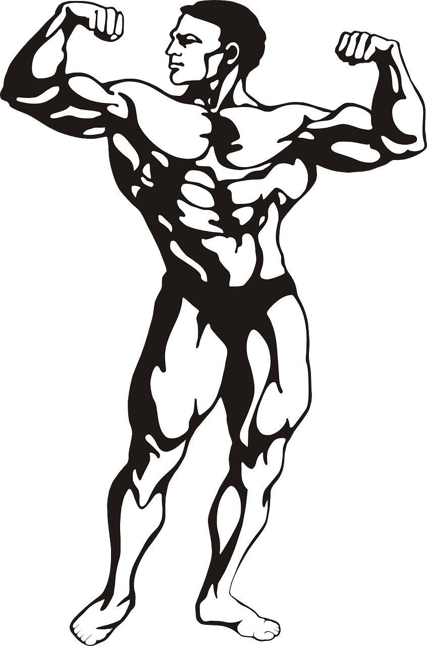 bodybuilder muscles man free photo