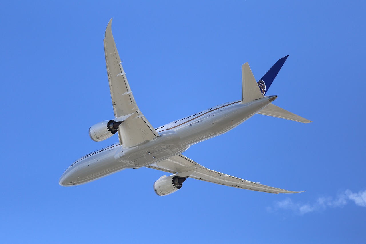boeing 787 aircraft free photo