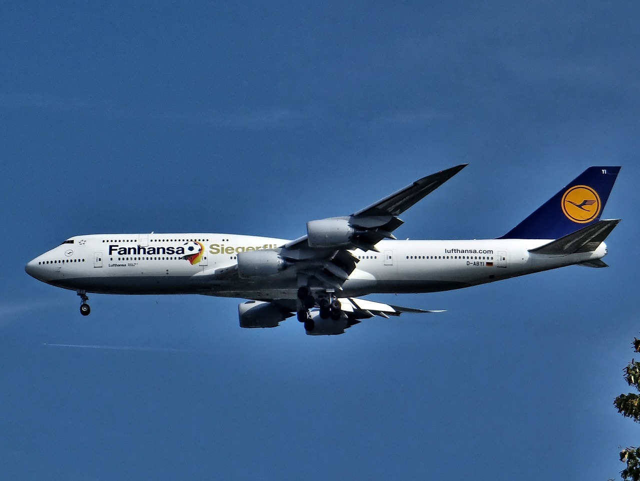 boeing lufthansa 747 aircraft free photo