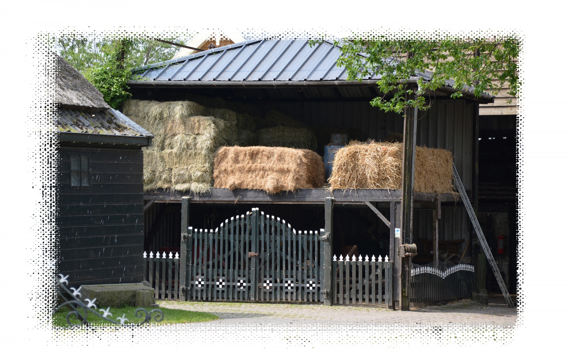 farm livestock hay bale free photo