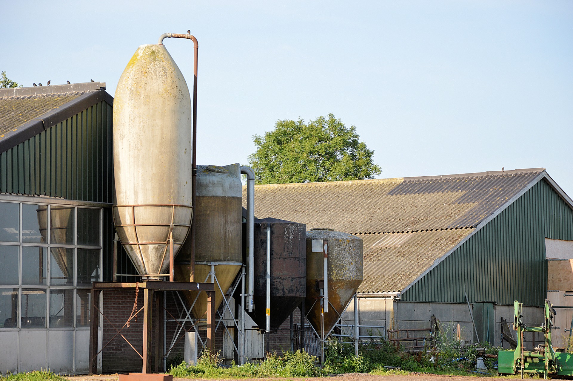 agriculture agricultural farmer free photo