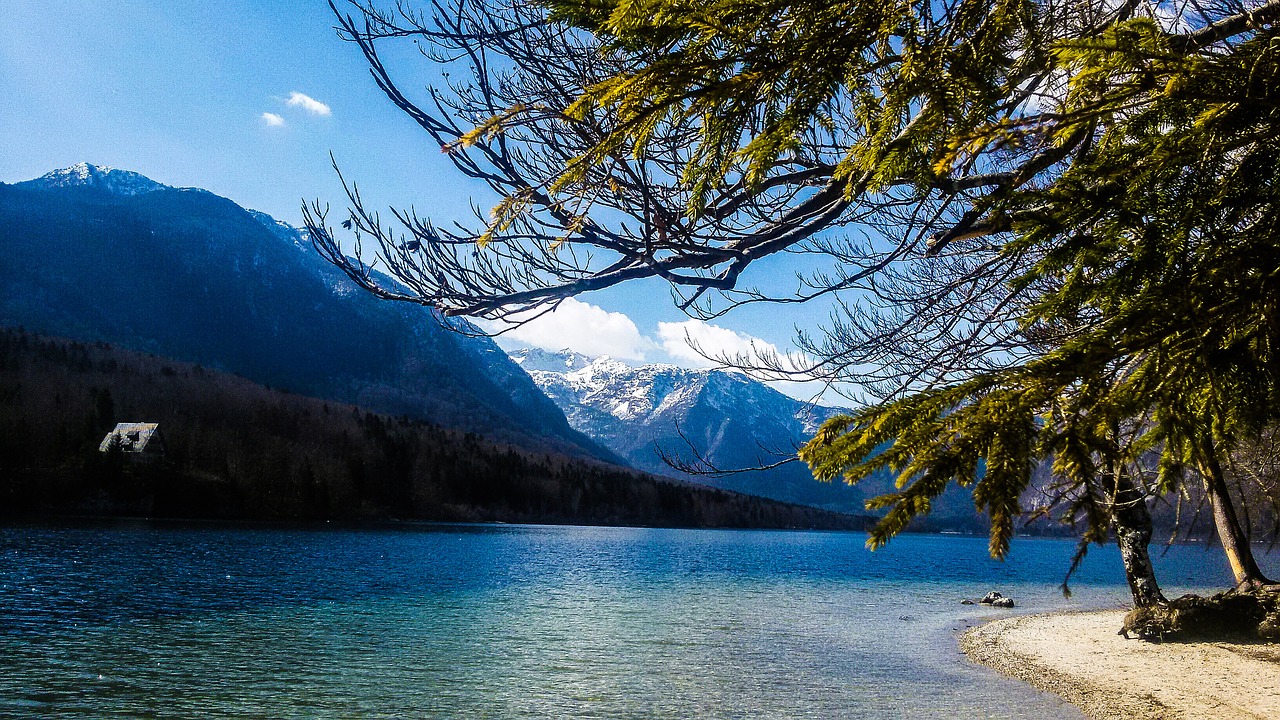 bohinj lake natural free photo